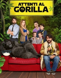 Attenti al gorilla