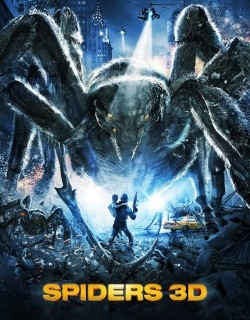 Spiders