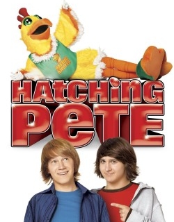 Hatching Pete