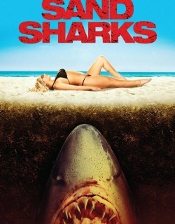 Sand Sharks