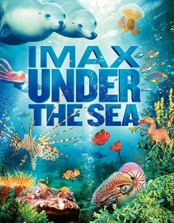 Under the Sea 3D